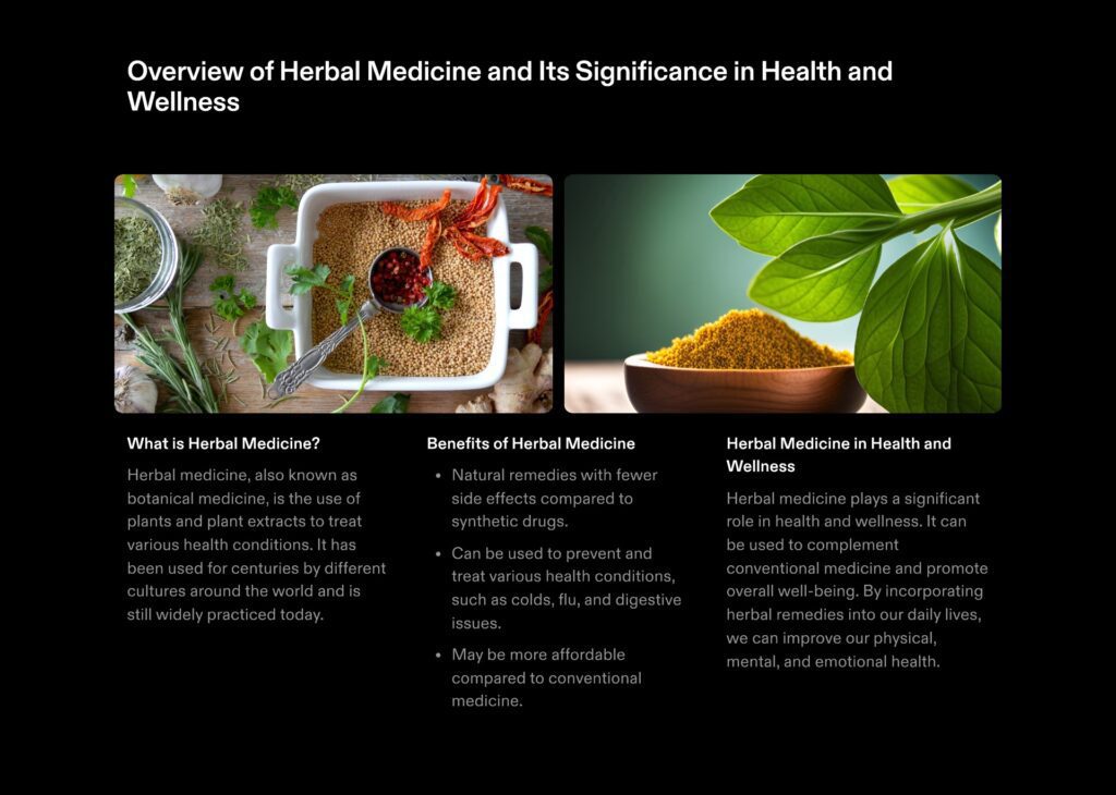 10 Powerful Herbs and Their Benefits on the Body